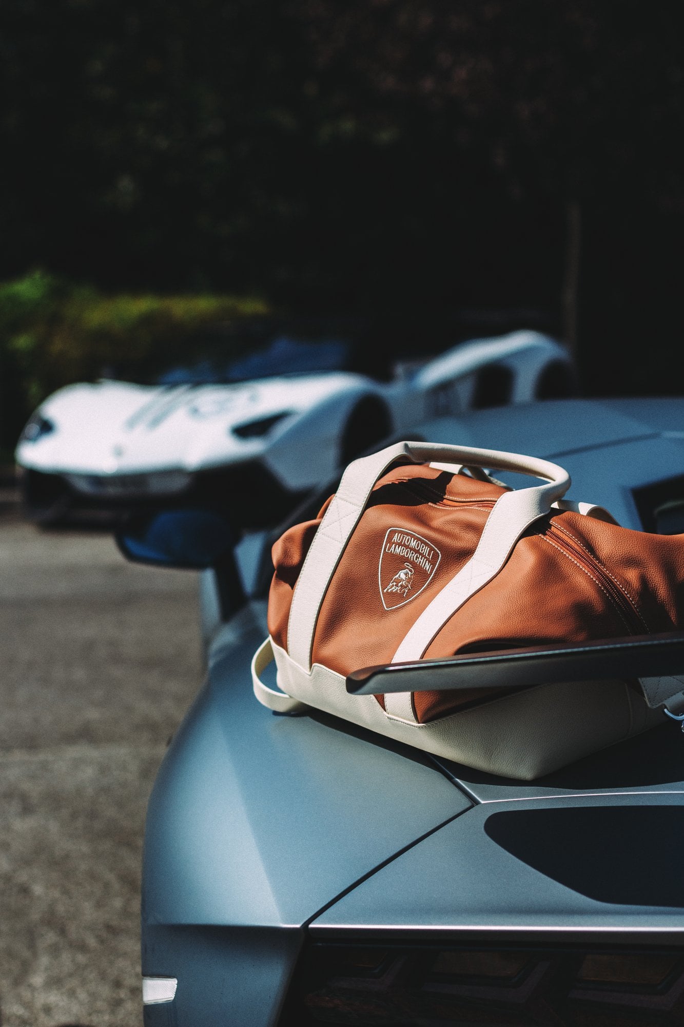 Braune Lederreisetasche auf einem türkisfarbenen Supersportwagen
